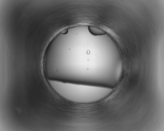 X0000090741423200707201005