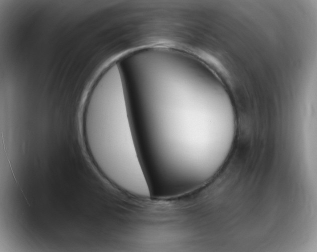 X0000090741424200707201005