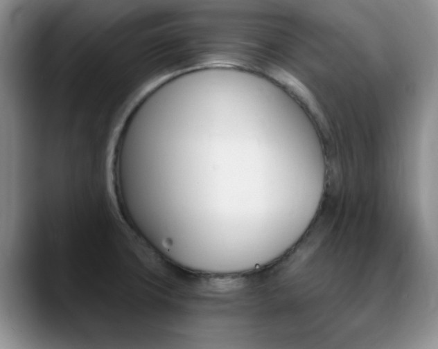 X0000090741427200707201005