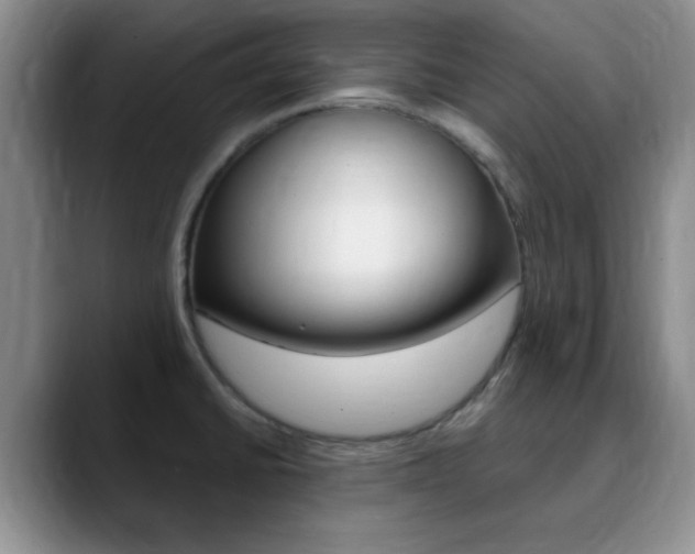 X0000090741430200707201005