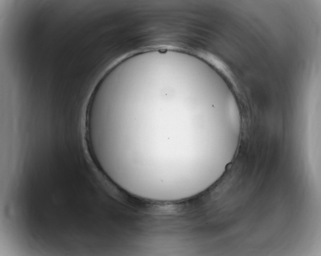 X0000090741431200707201005