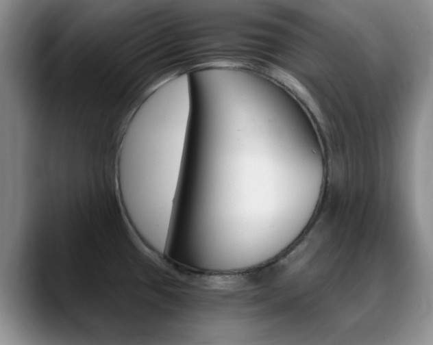 X0000090741433200707201005