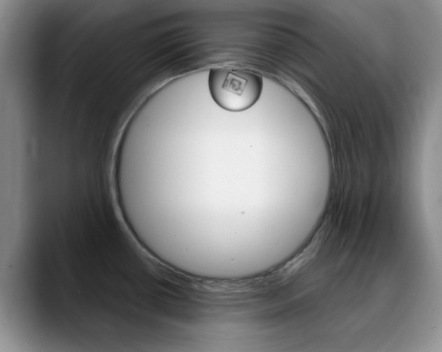 X0000090741434200707201005