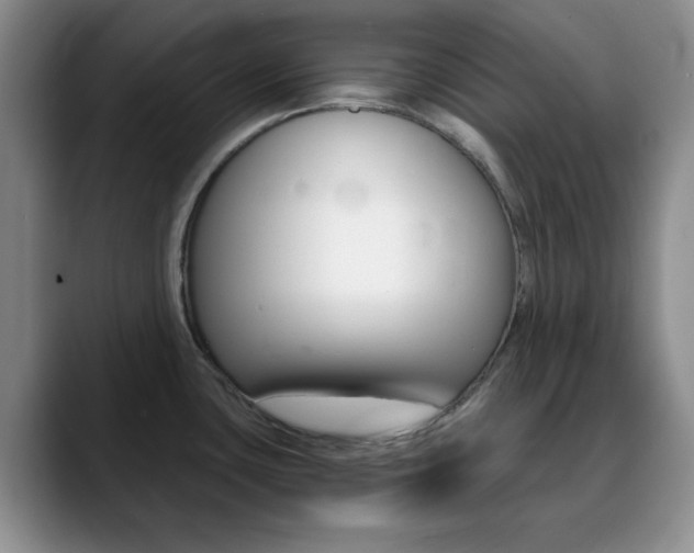 X0000090741435200707201005