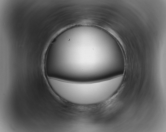 X0000090741437200707201005