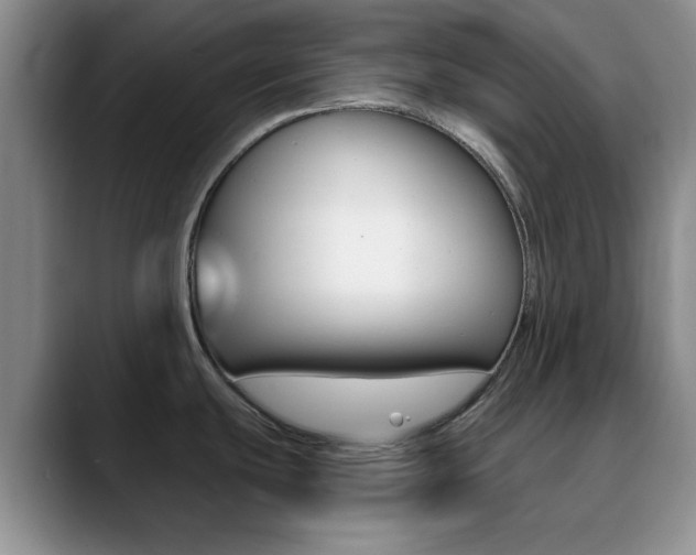 X0000090741439200707201005