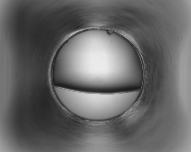X0000090741440200707201005