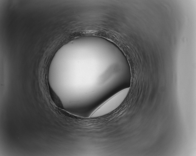 X0000090741441200707201005