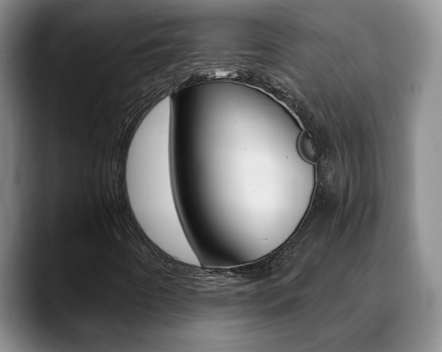 X0000090741442200707201005