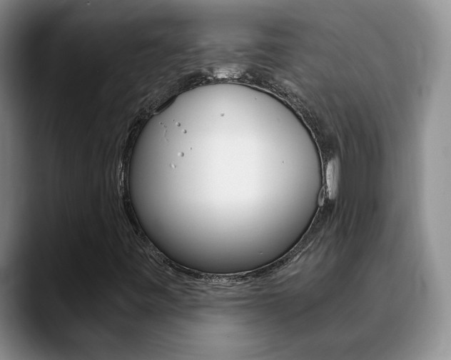 X0000090741443200707201005