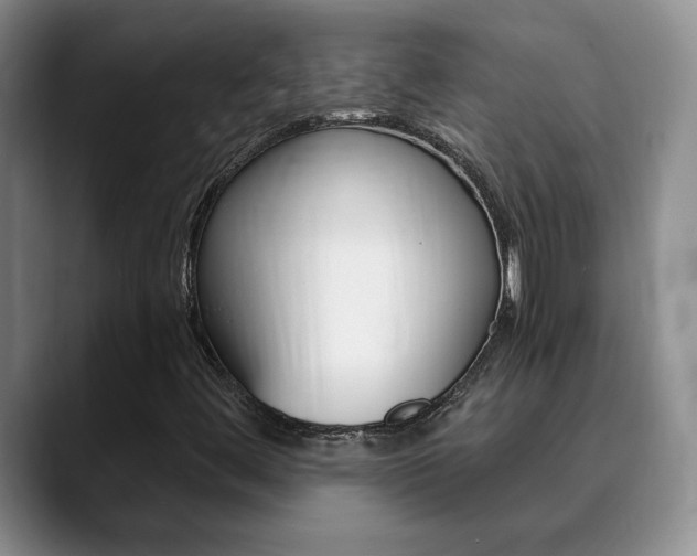 X0000090741444200707201005