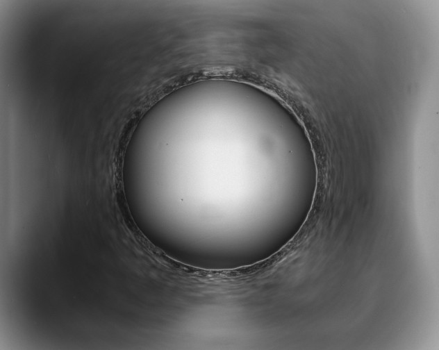 X0000090741445200707201005