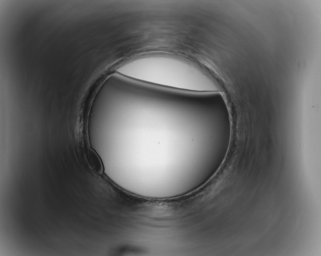 X0000090741450200707201005