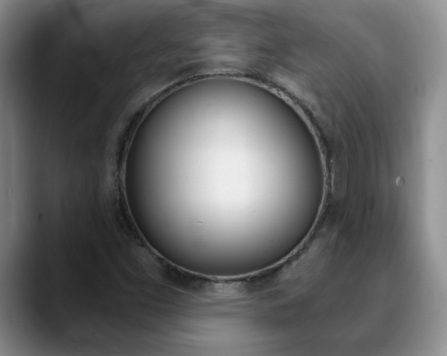 X0000090741453200707201004