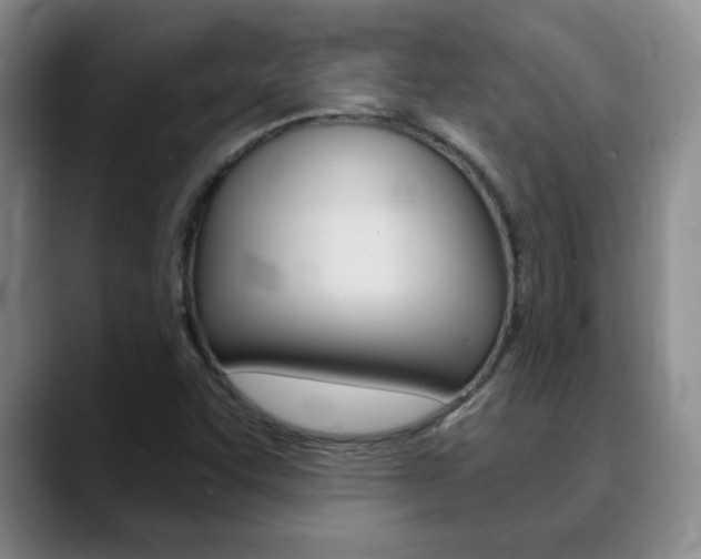 X0000090741455200707201004