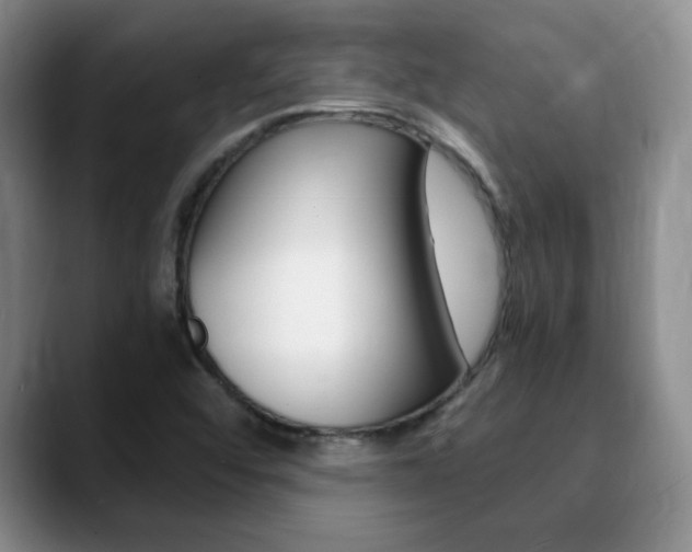 X0000090741456200707201004