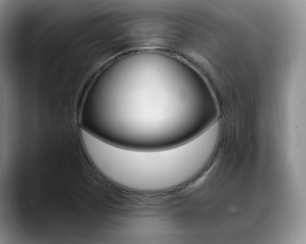 X0000090741457200707201004