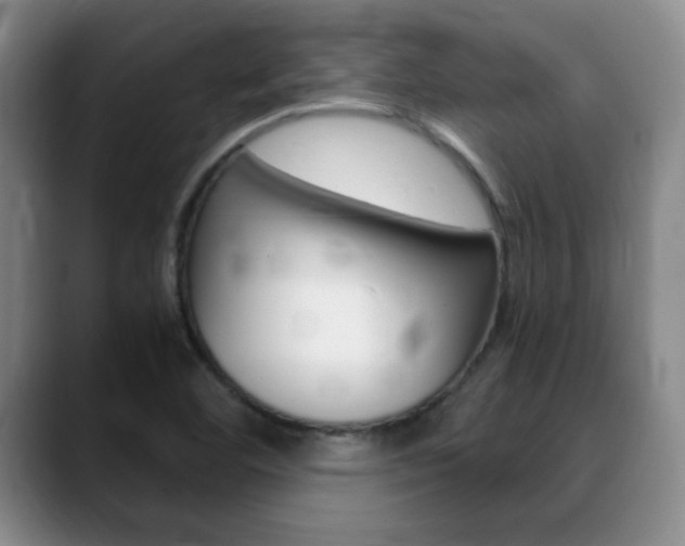 X0000090741460200707201004