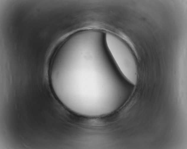X0000090741464200707201004