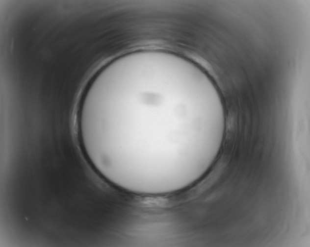 X0000090741466200707201004