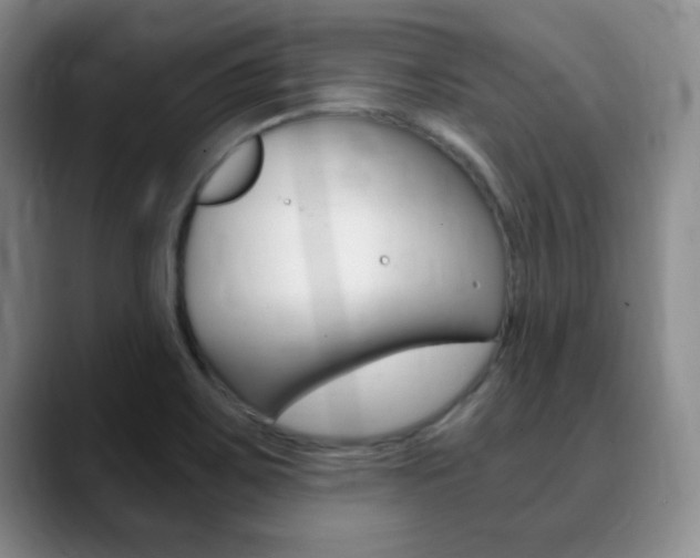 X0000090741467200707201004