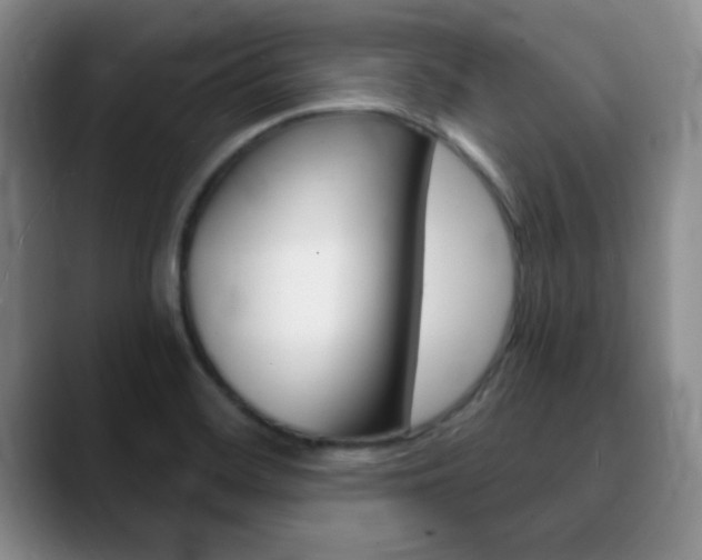 X0000090741468200707201004