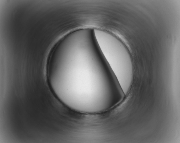 X0000090741469200707201004