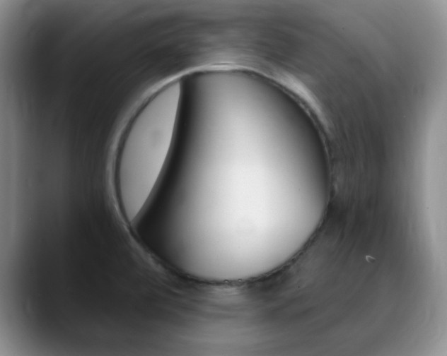 X0000090741472200707201004