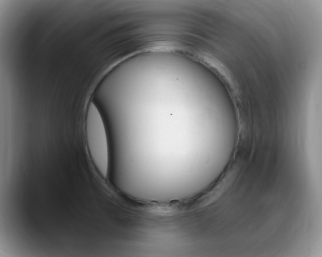 X0000090741473200707201004