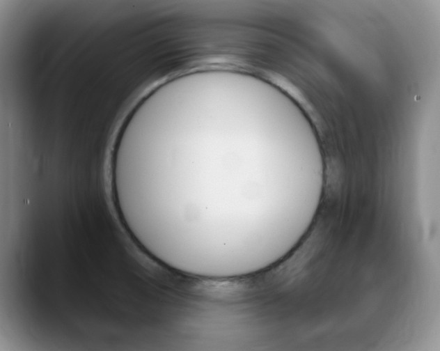 X0000090741474200707201004
