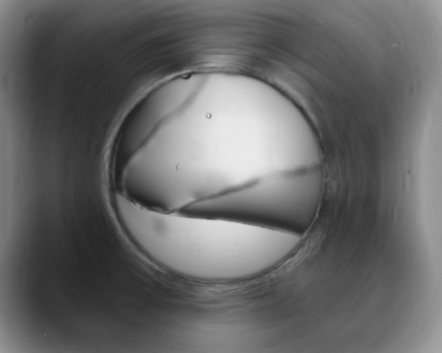 X0000090741475200707201004