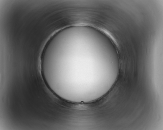X0000090741476200707201004