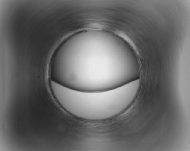 X0000090741477200707201004