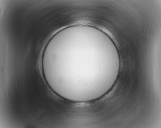X0000090741478200707201004