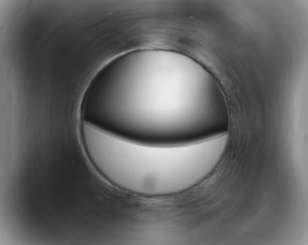 X0000090741479200707201004