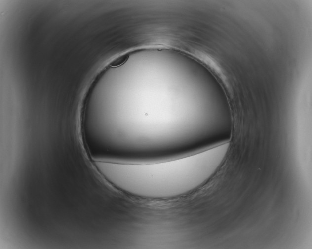 X0000090741480200707201004