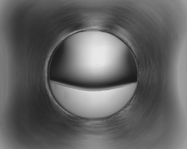 X0000090741483200707201004