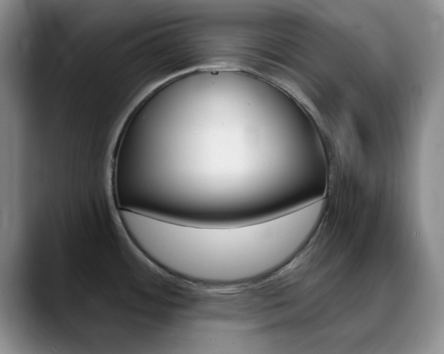 X0000090741484200707201004
