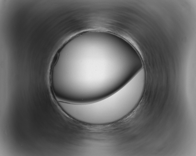 X0000090741485200707201004