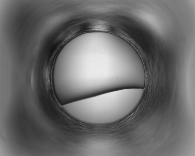 X0000090741487200707201004