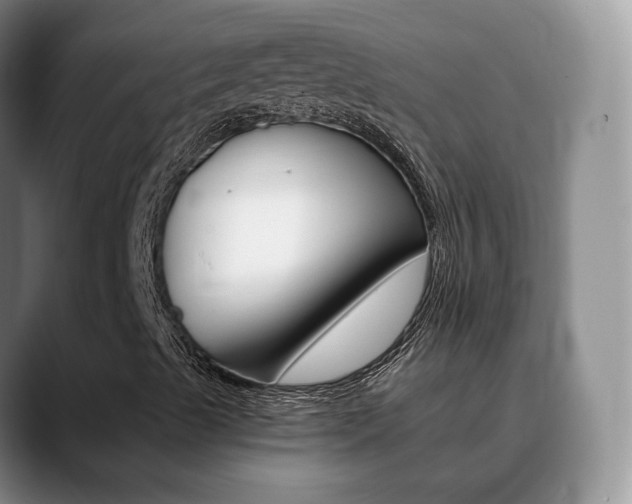 X0000090741489200707201004