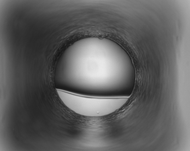 X0000090741490200707201004