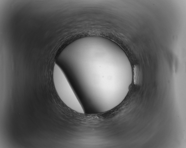 X0000090741491200707201004