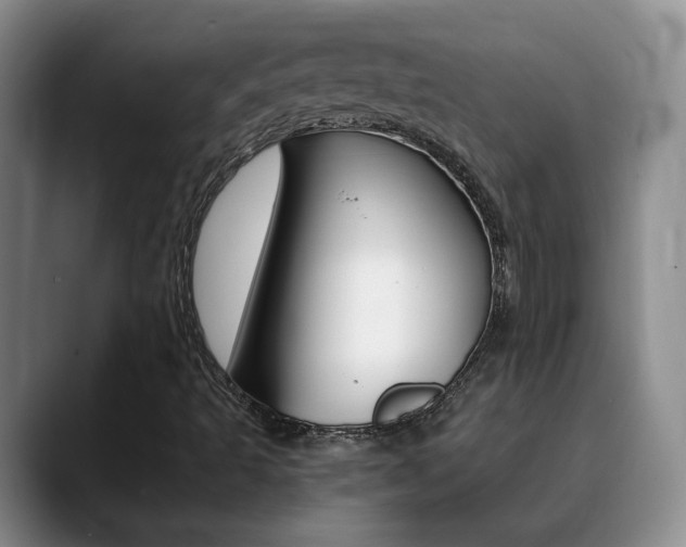X0000090741493200707201004