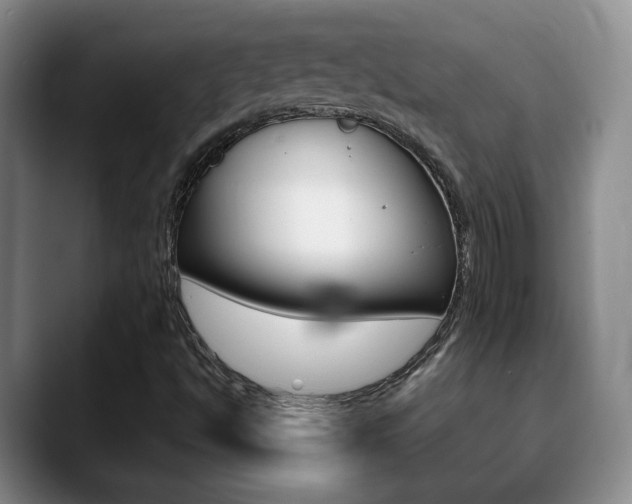 X0000090741494200707201004