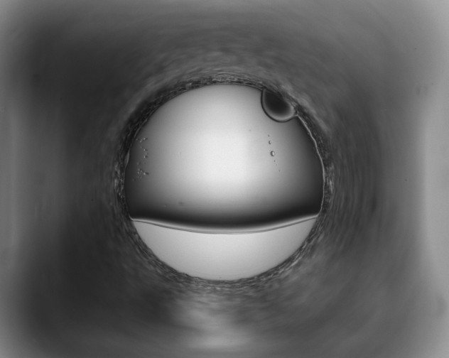 X0000090741495200707201004