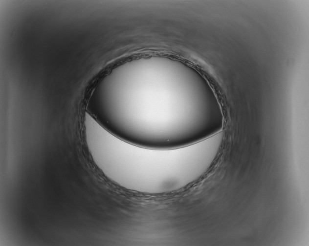 X0000090741496200707201004