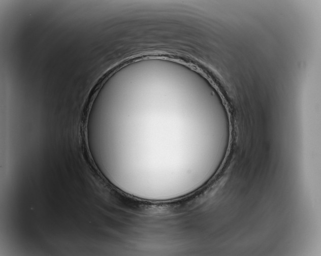 X0000090741497200707201004