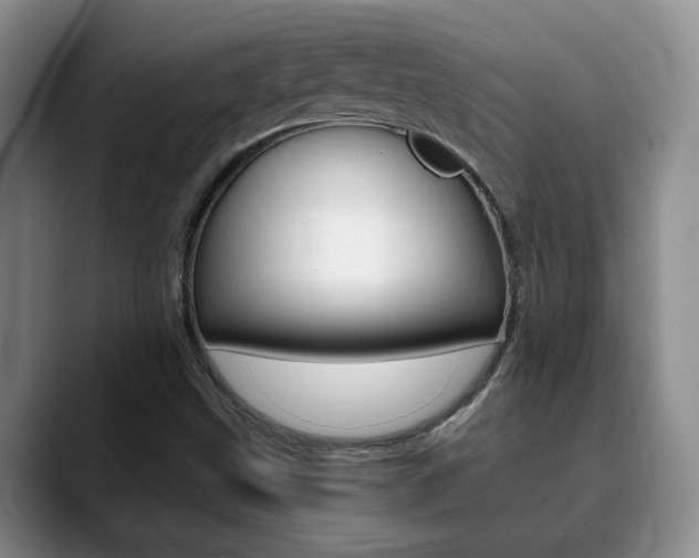 X0000090741499200707201004
