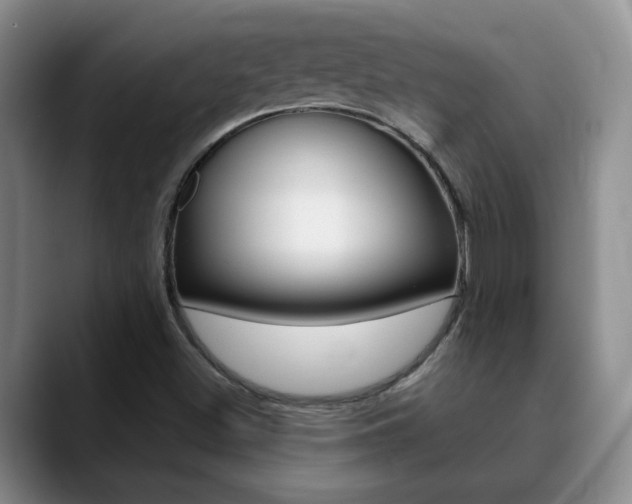 X0000090741500200707201004